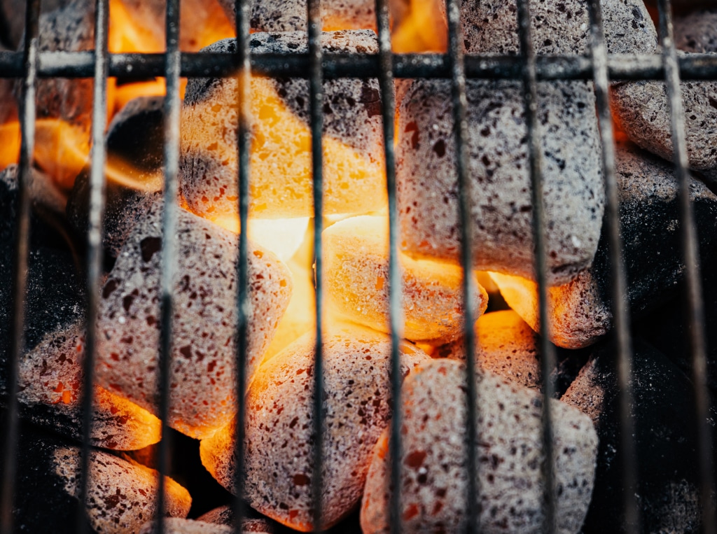 Coconut Charcoal Pillows