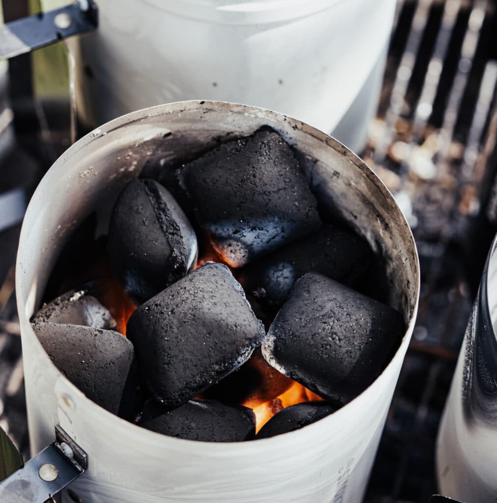 Coconut Charcoal Pillows